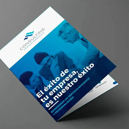 Diptico Consulting