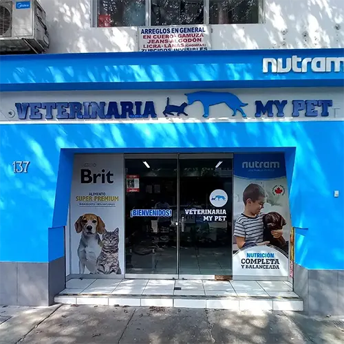 Fachada de tienda Brit