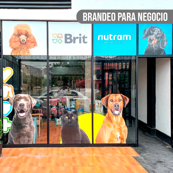 Brandeo para negocio